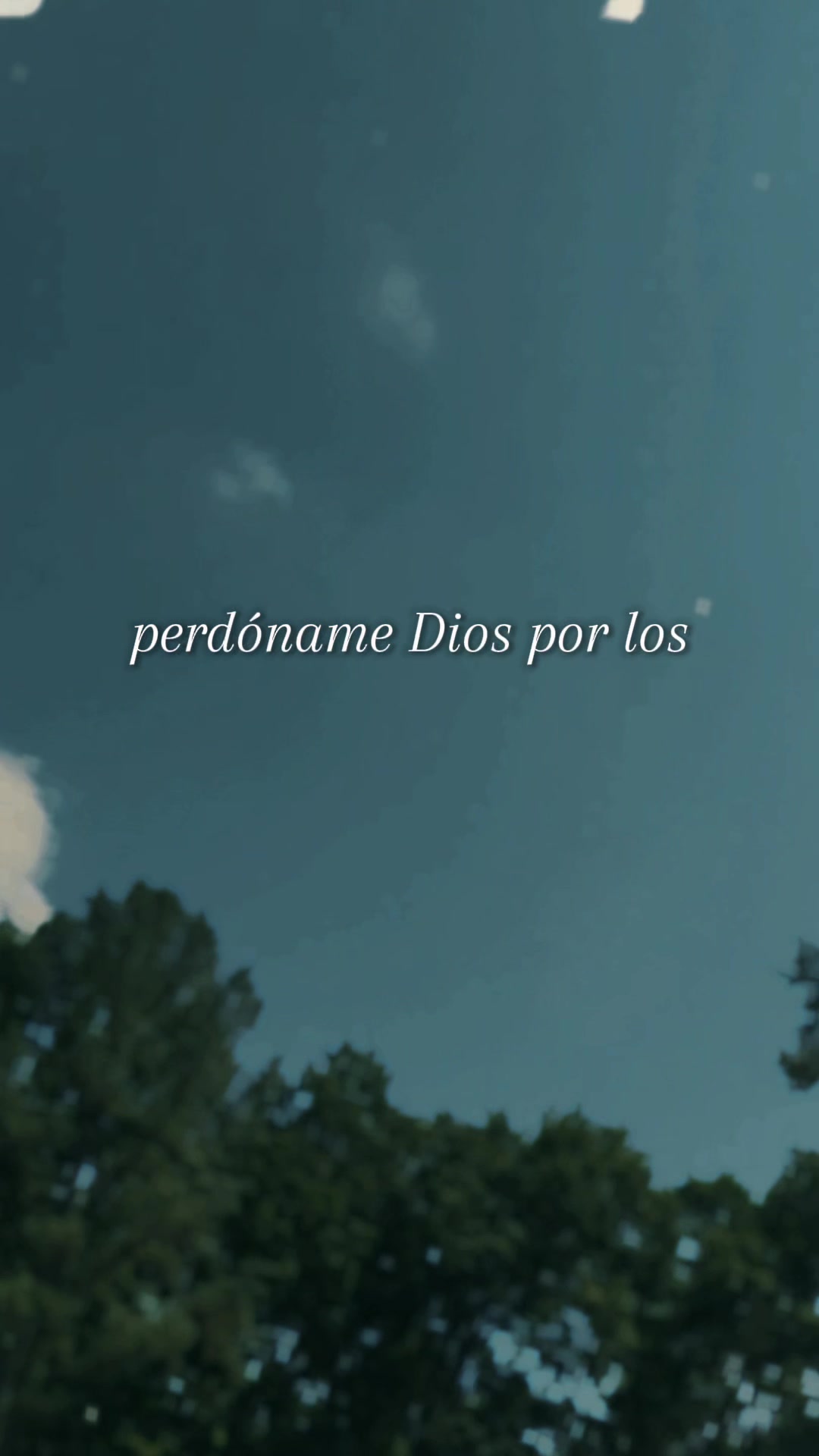 @Jesús mi proveedor