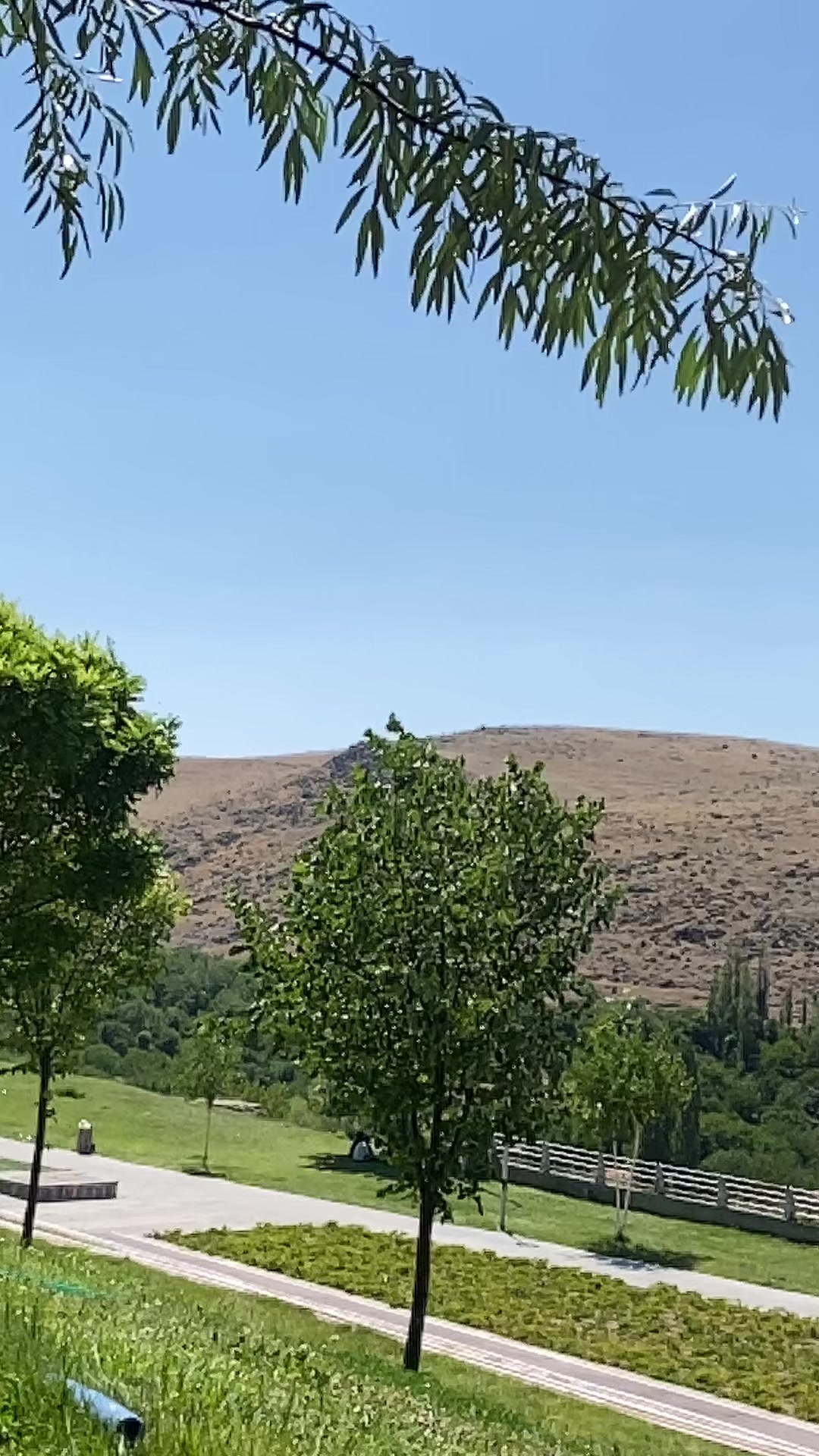 @cebraildogmuş