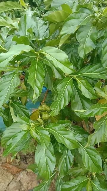 @thương công sức khỏe