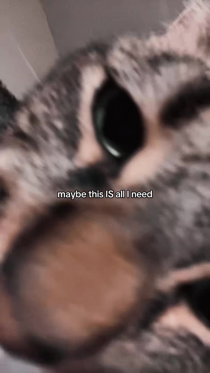 @mack
