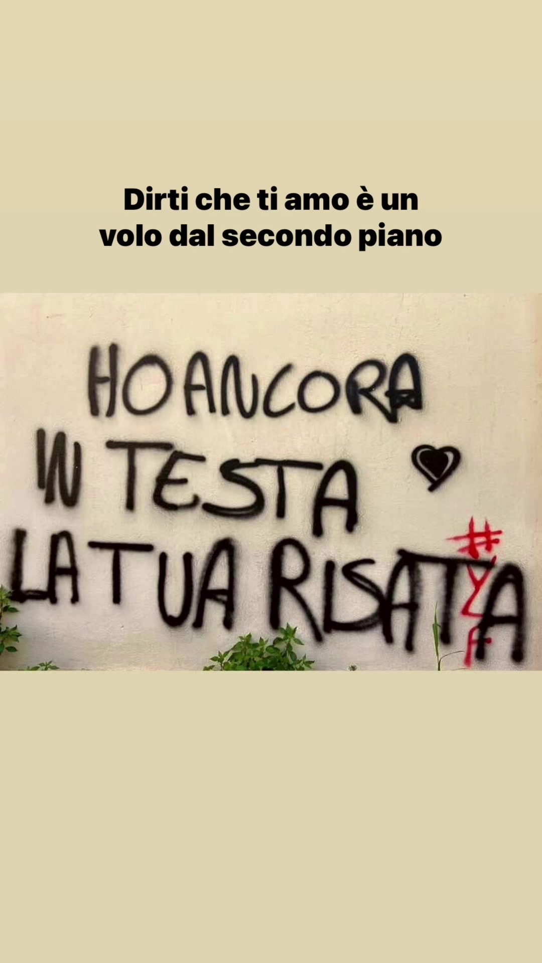 @liuzzz_17