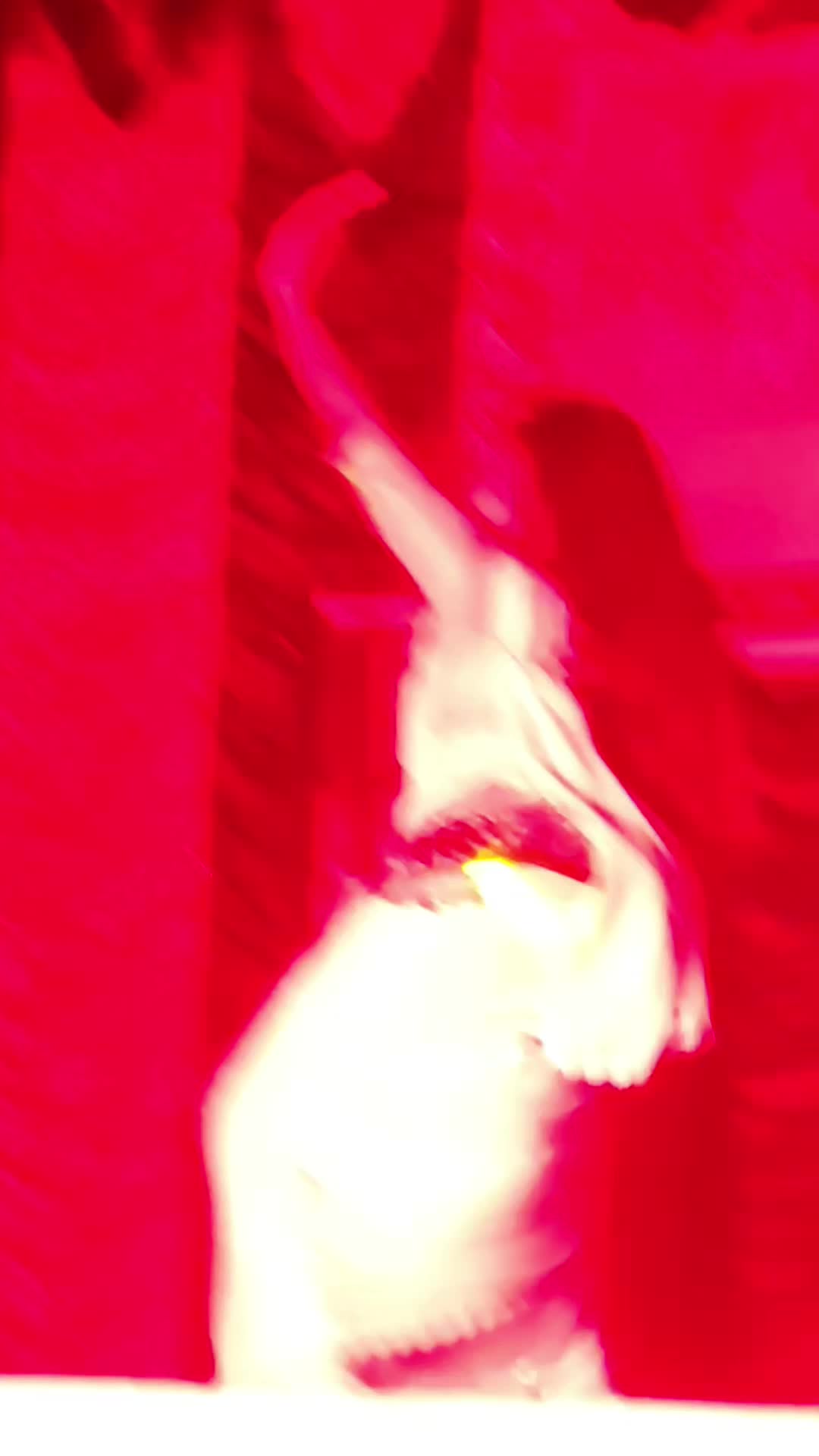 @𝒟𝒶𝓃𝒸𝑒 𝓏𝑜𝓃𝑒