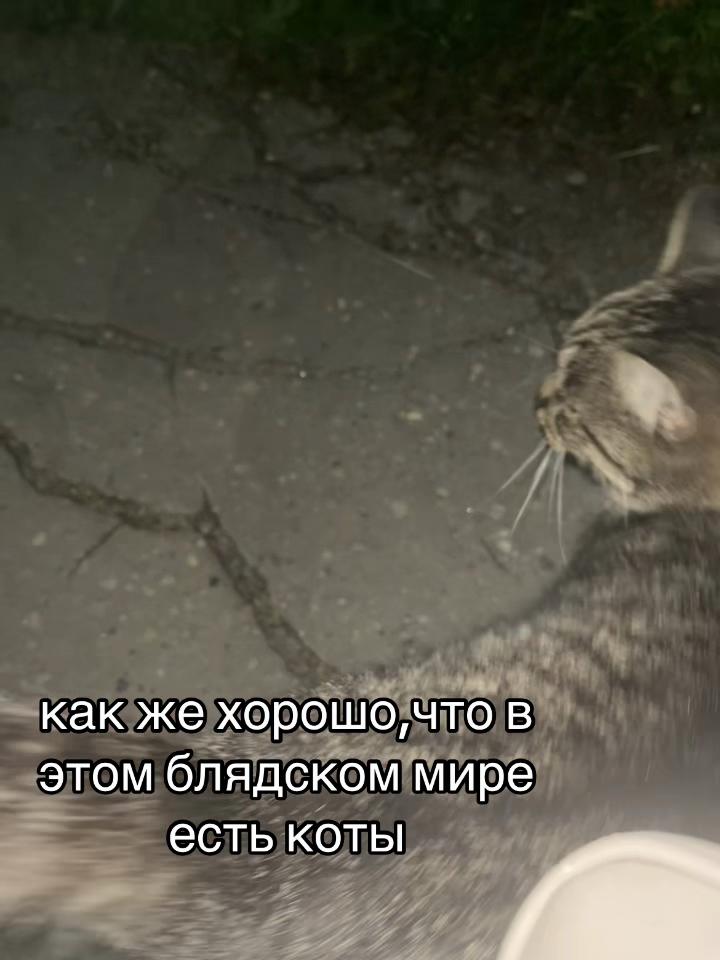 @𝐷𝑎𝑠ℎ𝑎𝑦𝑎