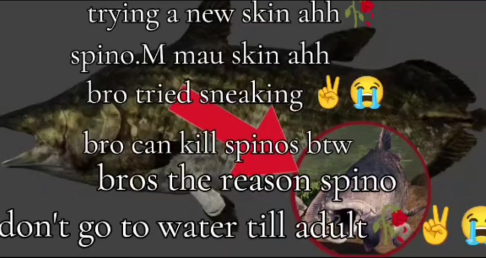 @S҉P҉I҉D҉O҉3҉O҉R҉⛎