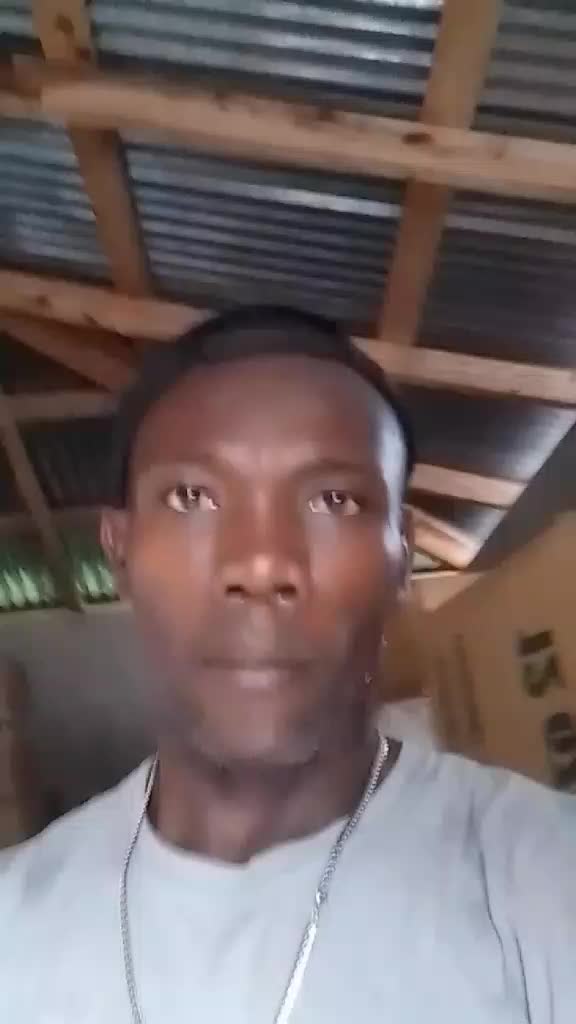 @benisonjeano311tiktok.com/@ben