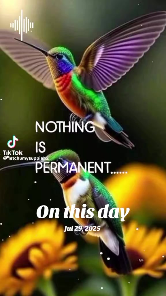 @ranji.ranji