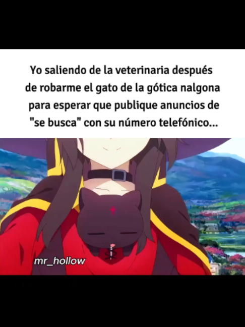 @MR_HOLLOW.🐧