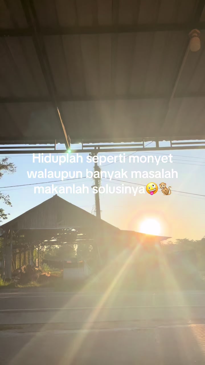 @dewisdn
