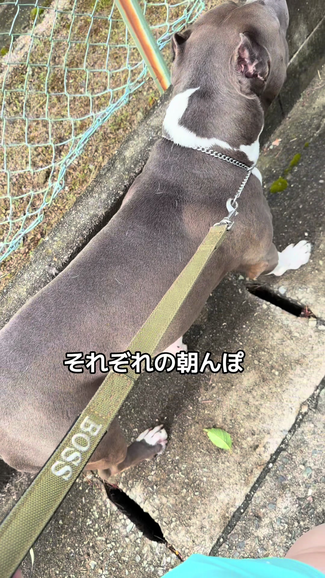 @BOSSใ ใ๐พ๐