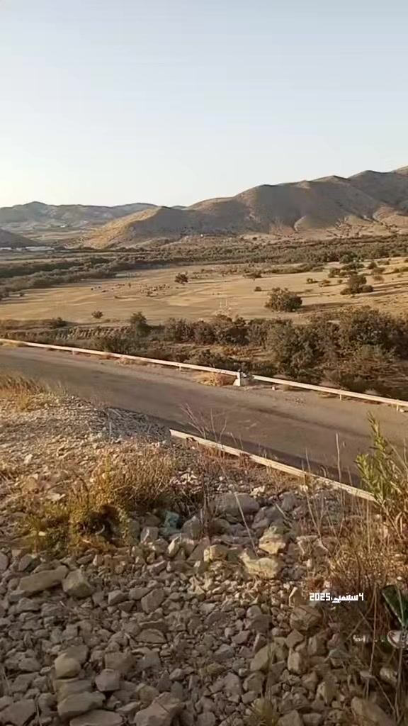 @Ali Hamemi
