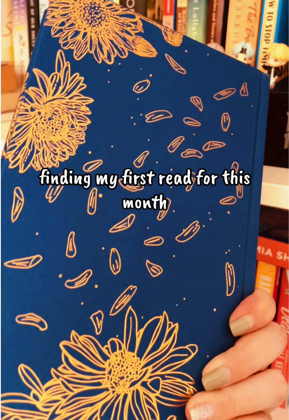 @The&ensp;Reading&ensp;Koala