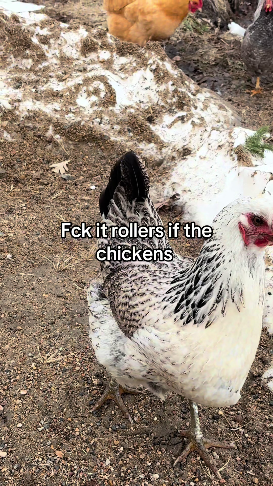@𝓮𝓪.𝓯𝓲𝓼𝓱𝓲𝓷𝓰🪶