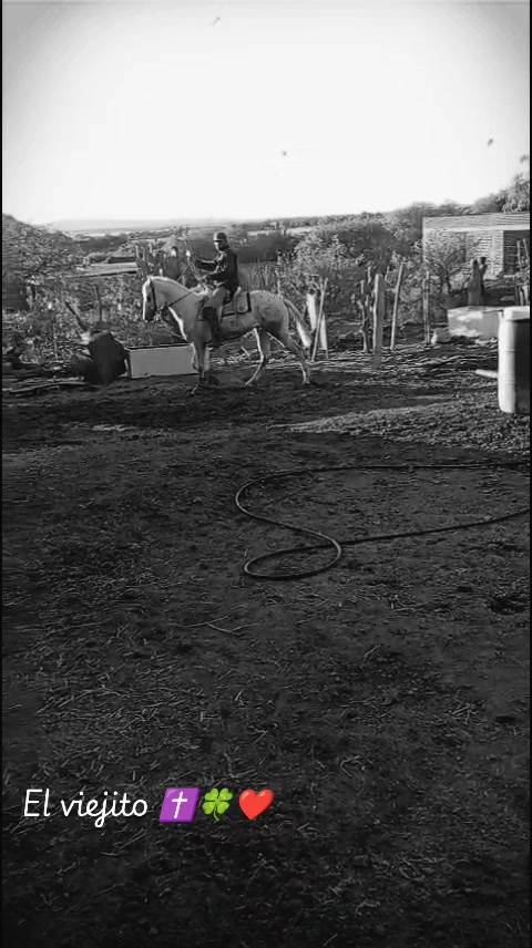 @Viejito Cordova✝️🍀❤️🐎🦅