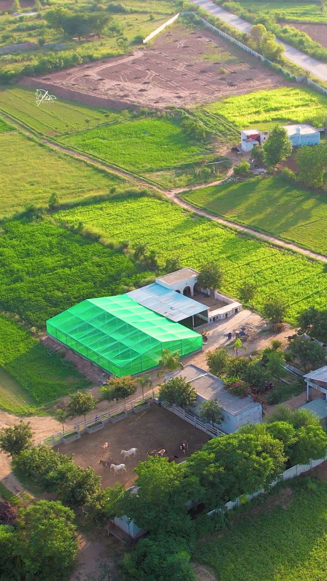 @SUNRISE STUD FARMS RAWALPINDI