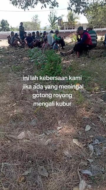 @🐄gembala sapi🐄