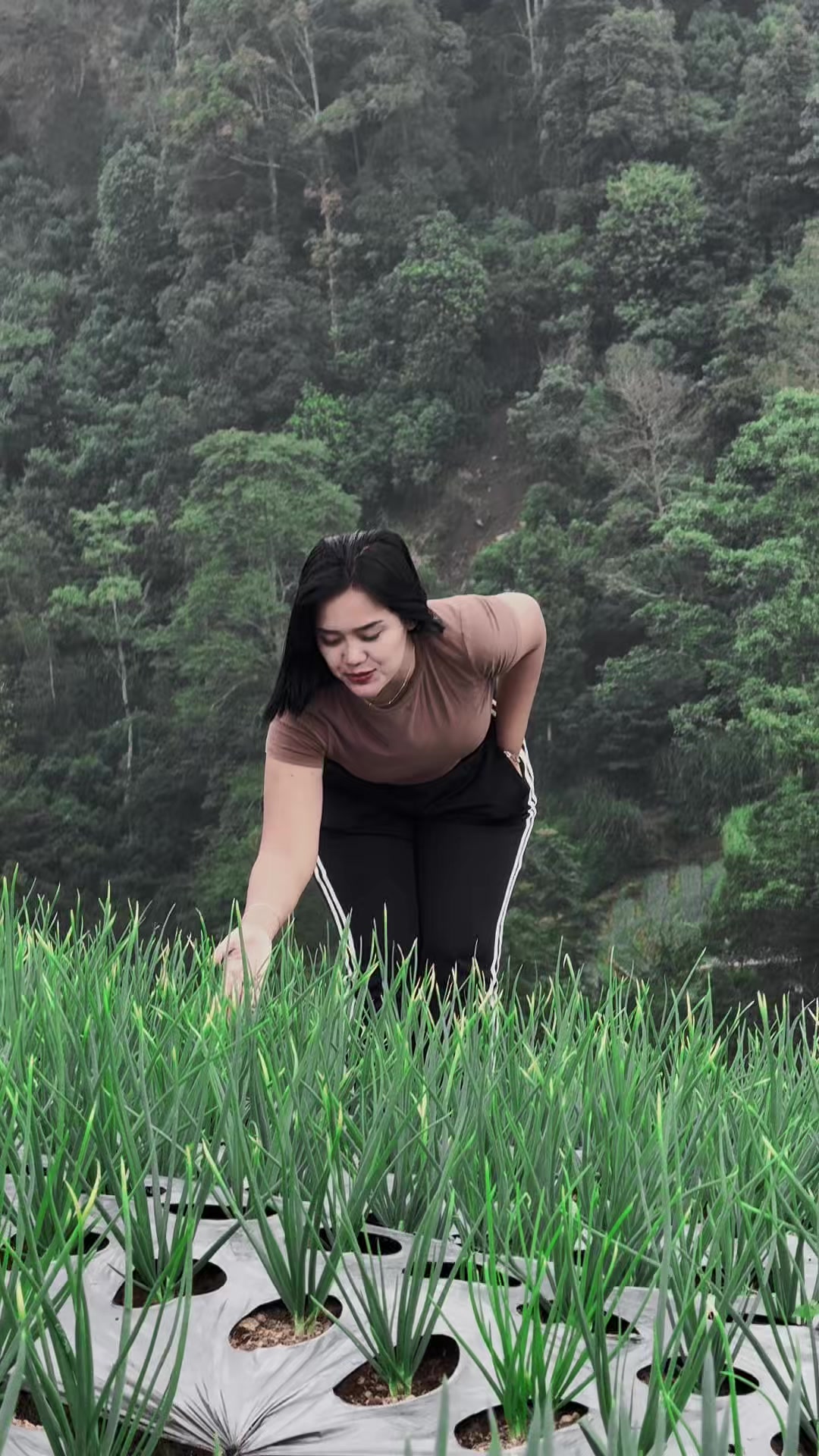 @ig : devipjy