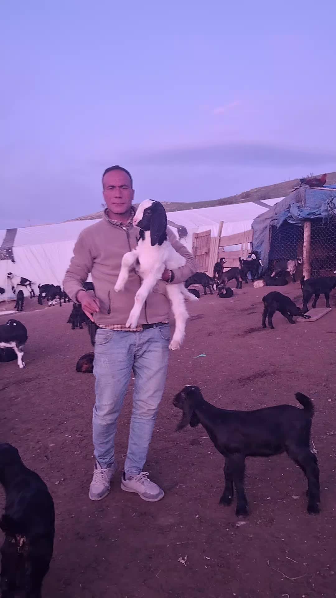 @Y&ouml;r&uuml;koğlu Yaşar 20