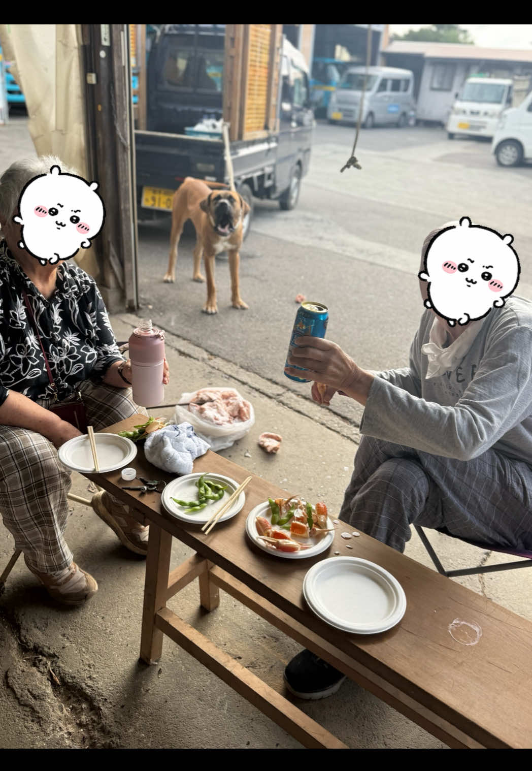 @土佐犬と女子大学生🐾👩🏻&zwj;🎓