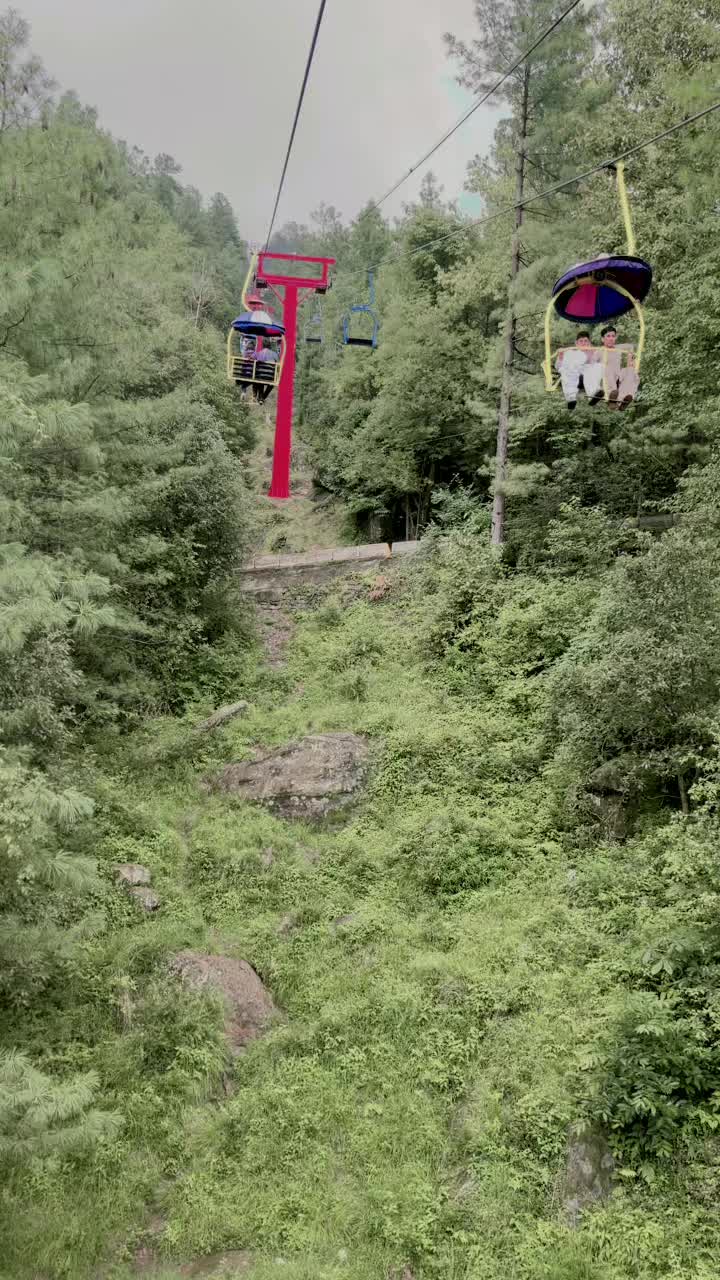 @زین 🐼
