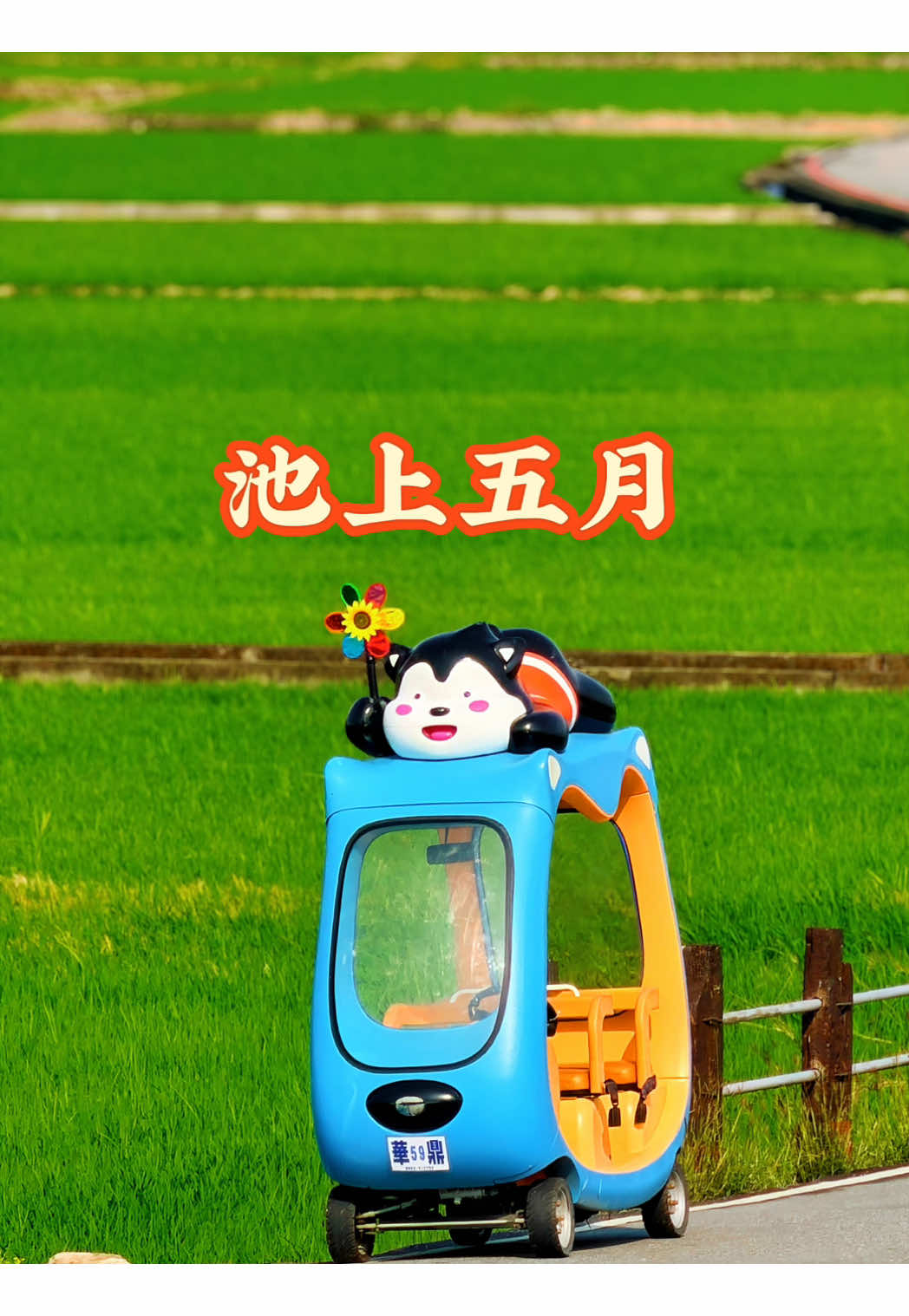 @美娴(華鼎自行車出租店)