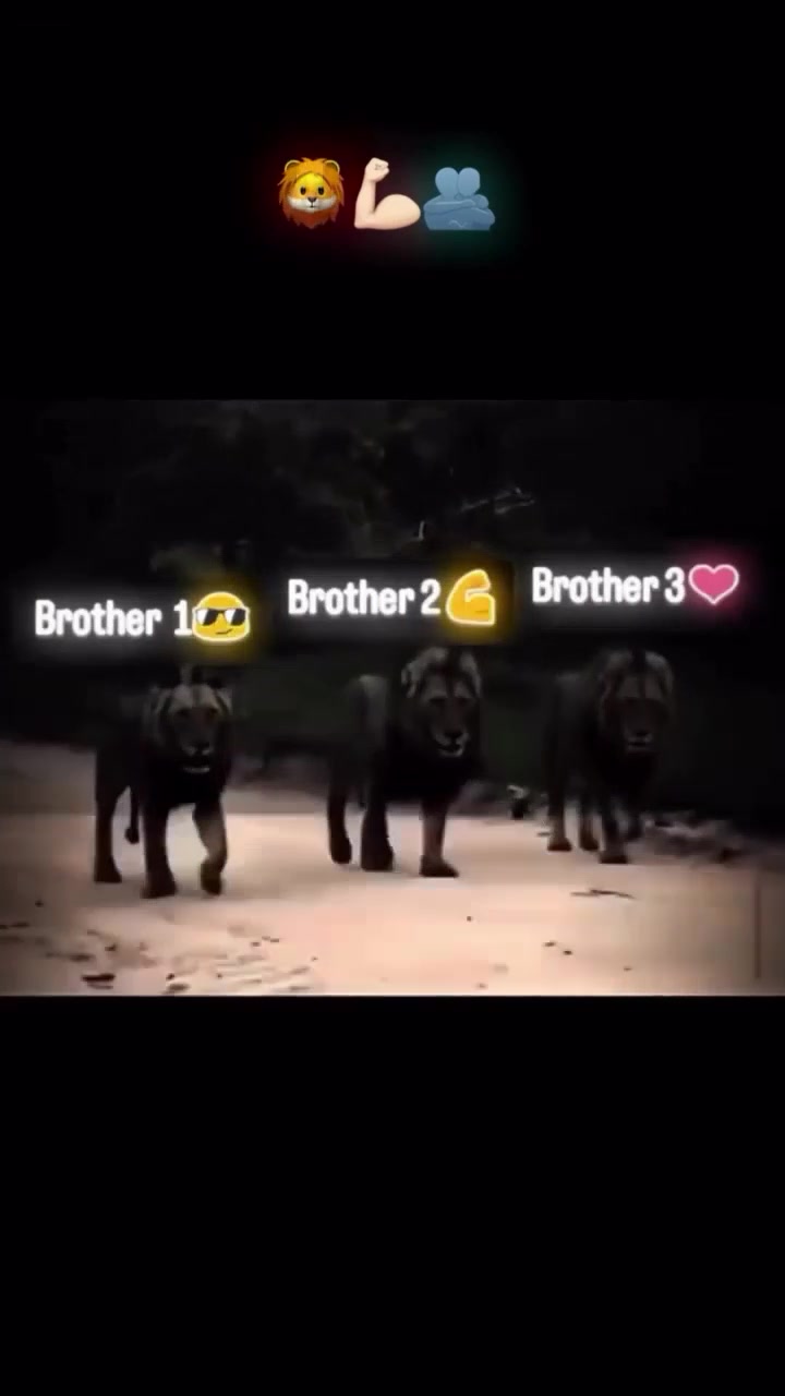 @💙🎷m⃠r⃠💙🎷k⃠i⃠r⃠u⃠p⃠a⃠💙🎷🎱