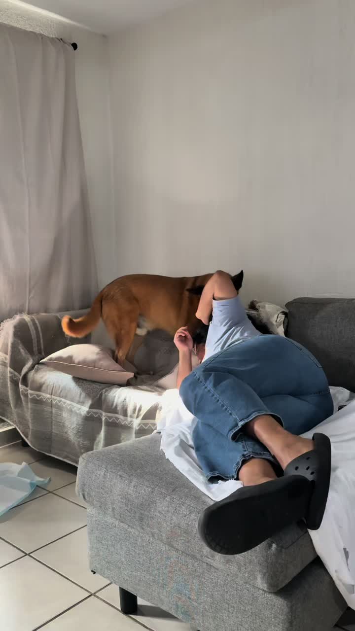 @humanaitzel