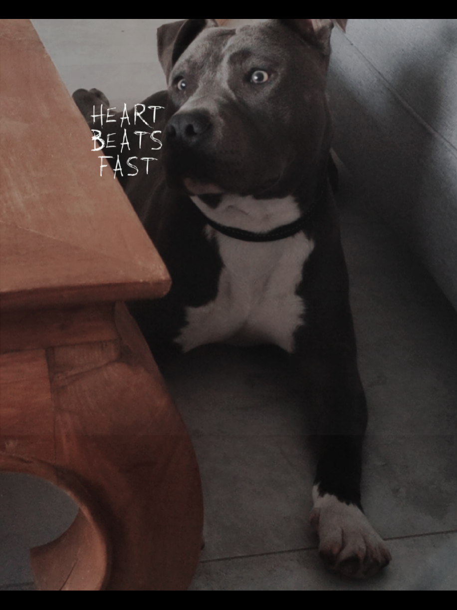 @Asko amstaff