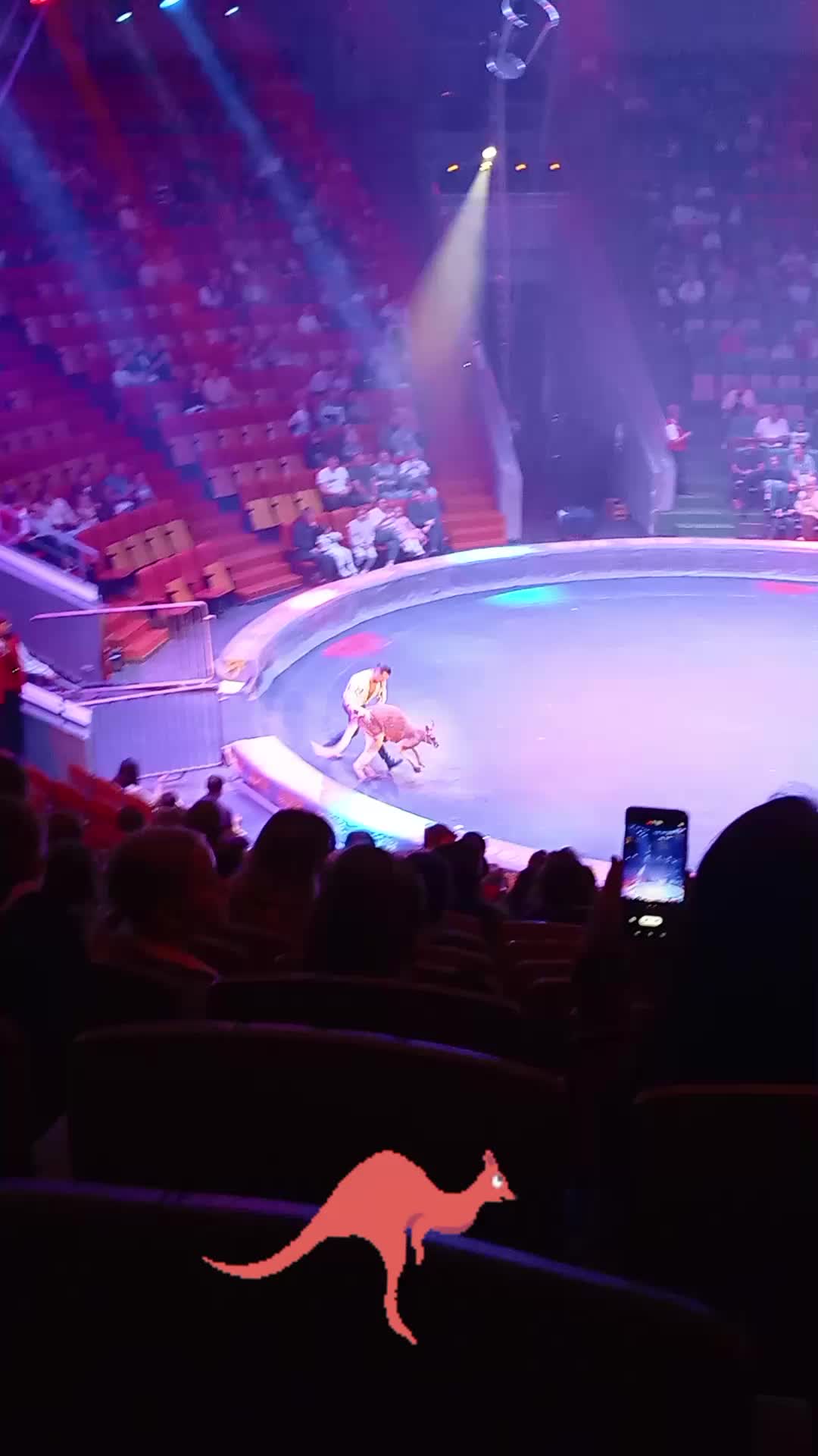 @Елена