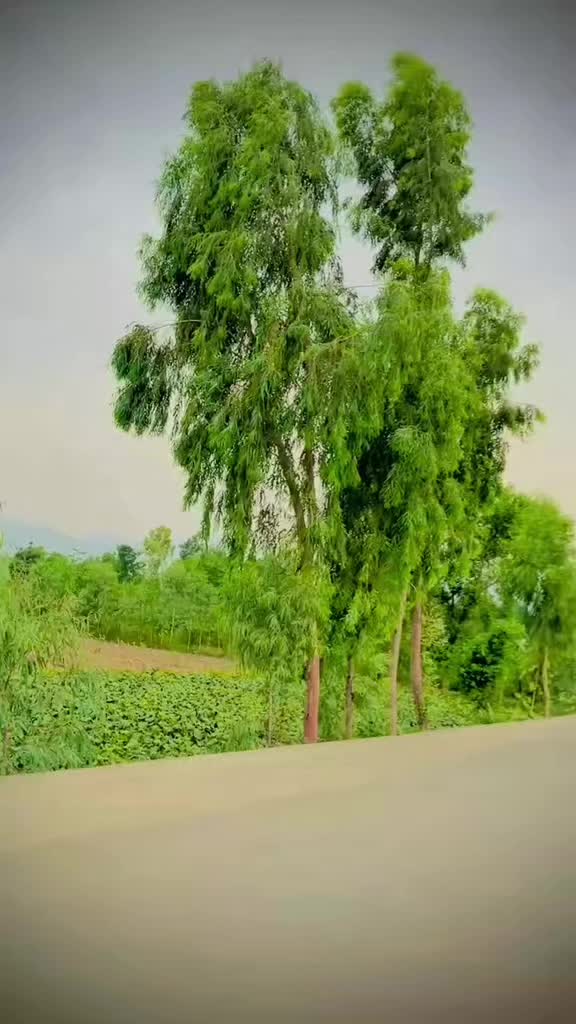 @IftikharkhanGaryala