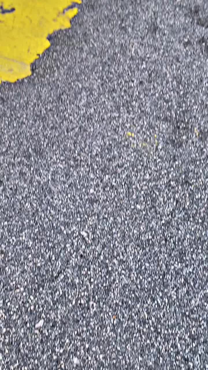@TENSS🐿️