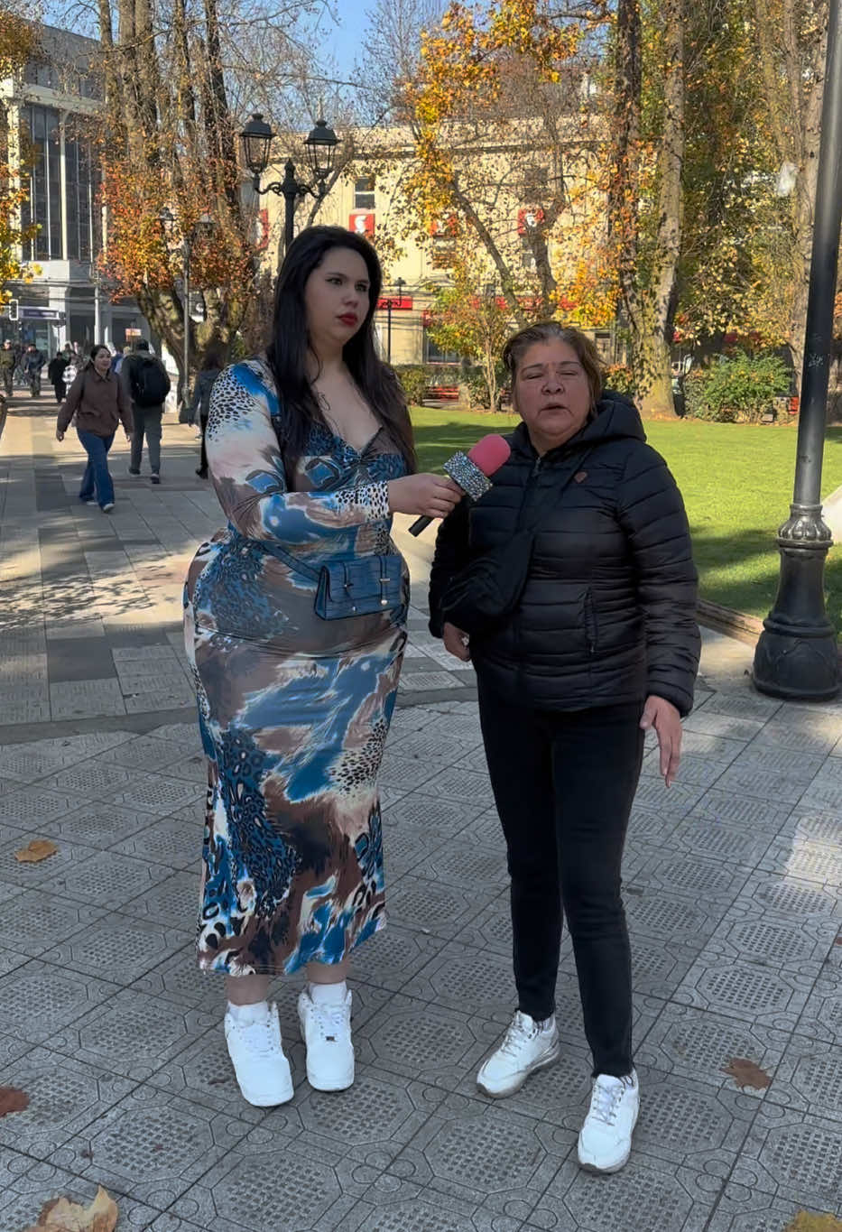 @Tany Soto Aedo🇨🇱