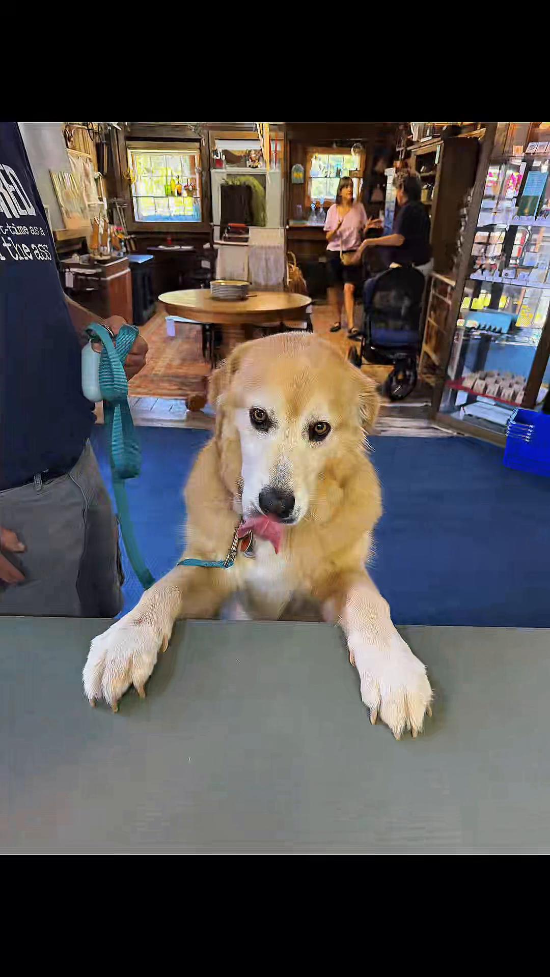@Kyle the Watch Guy