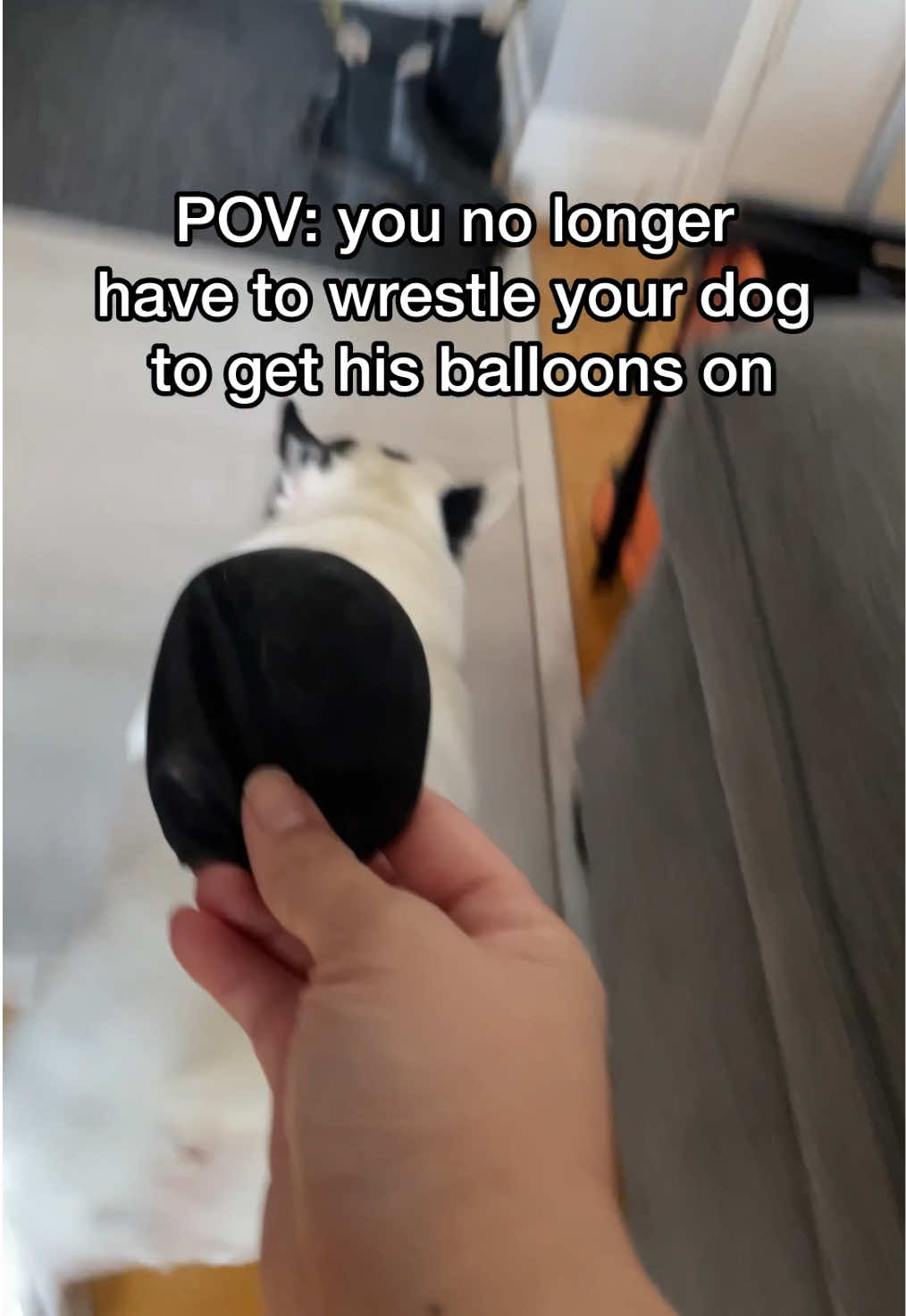 @Stacy T