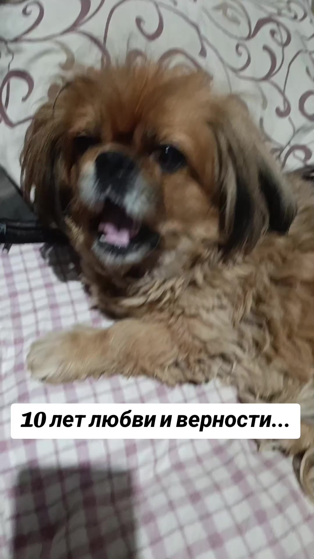 @Взаимная💯💋♥️