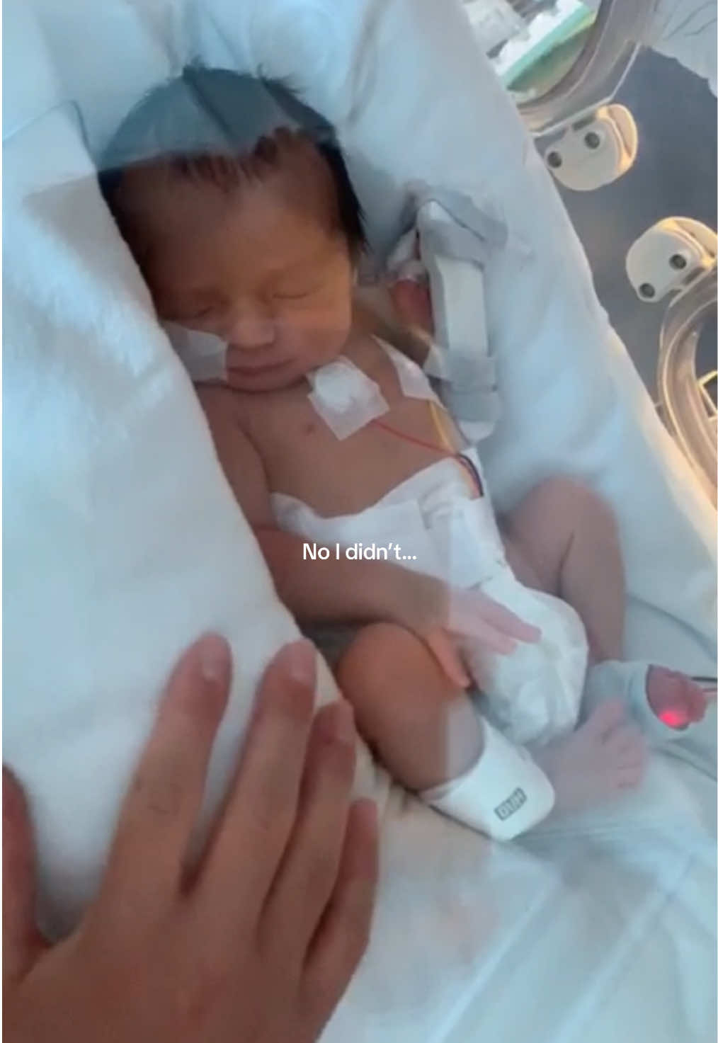 @zoeandherpreemies