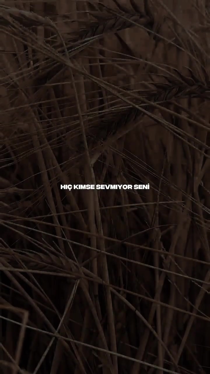 @Yasin koç