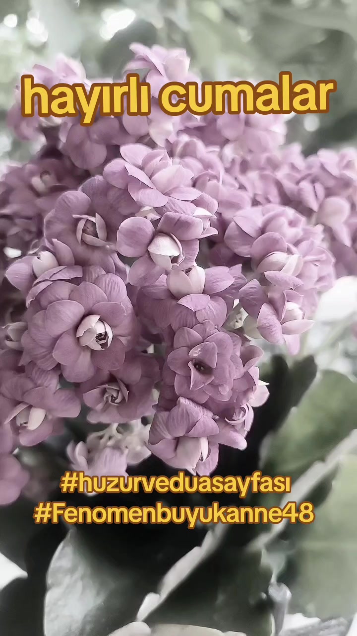 @Fenomenbuyukanne48
