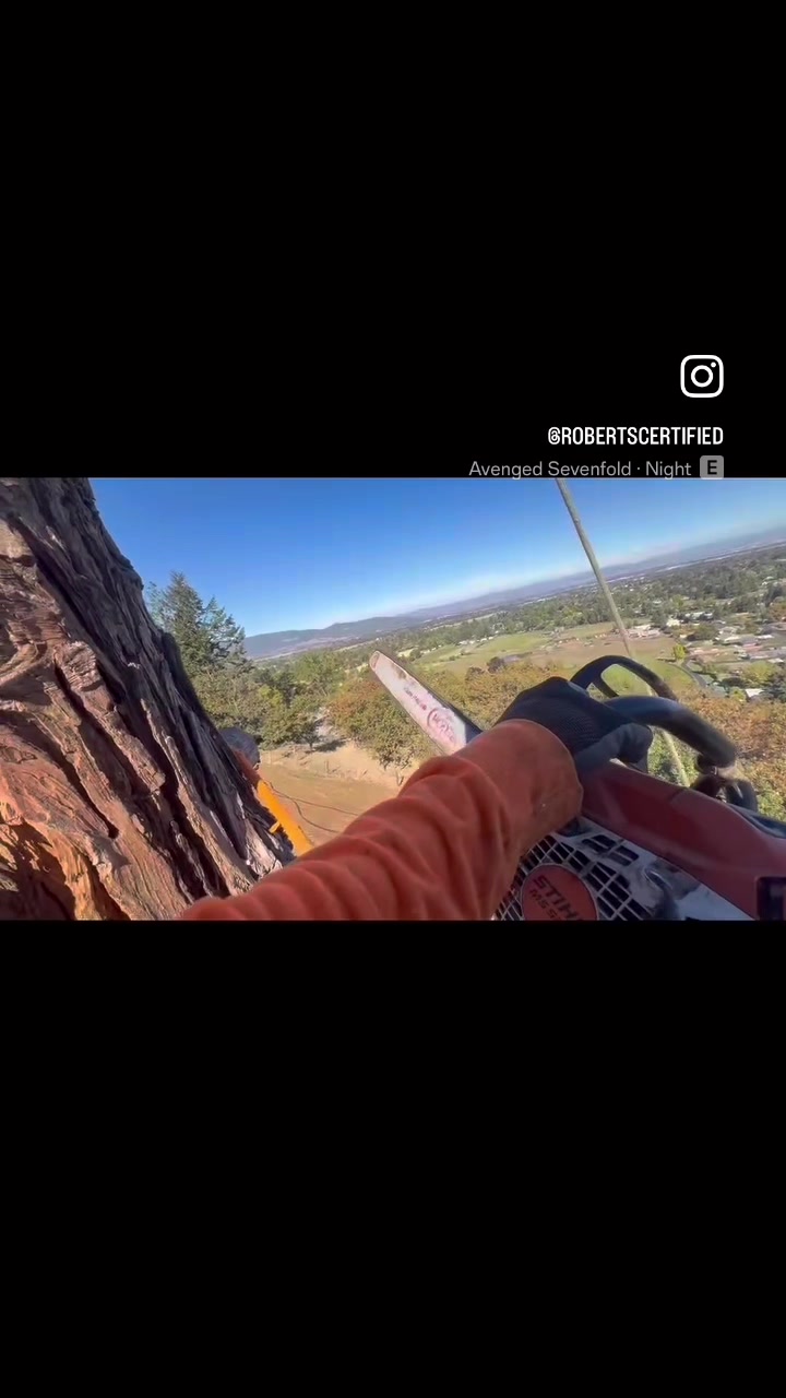 @Limb Reaper