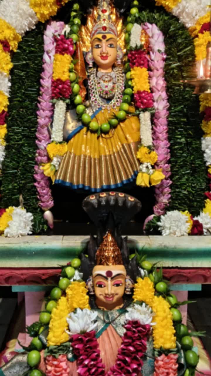@vijaykumar