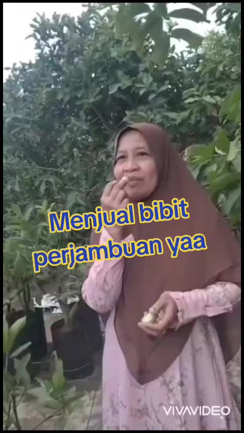 @Bibit khusus samarinda