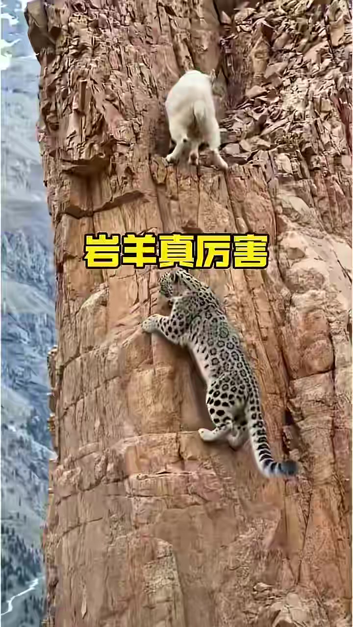 @晃晃悠悠