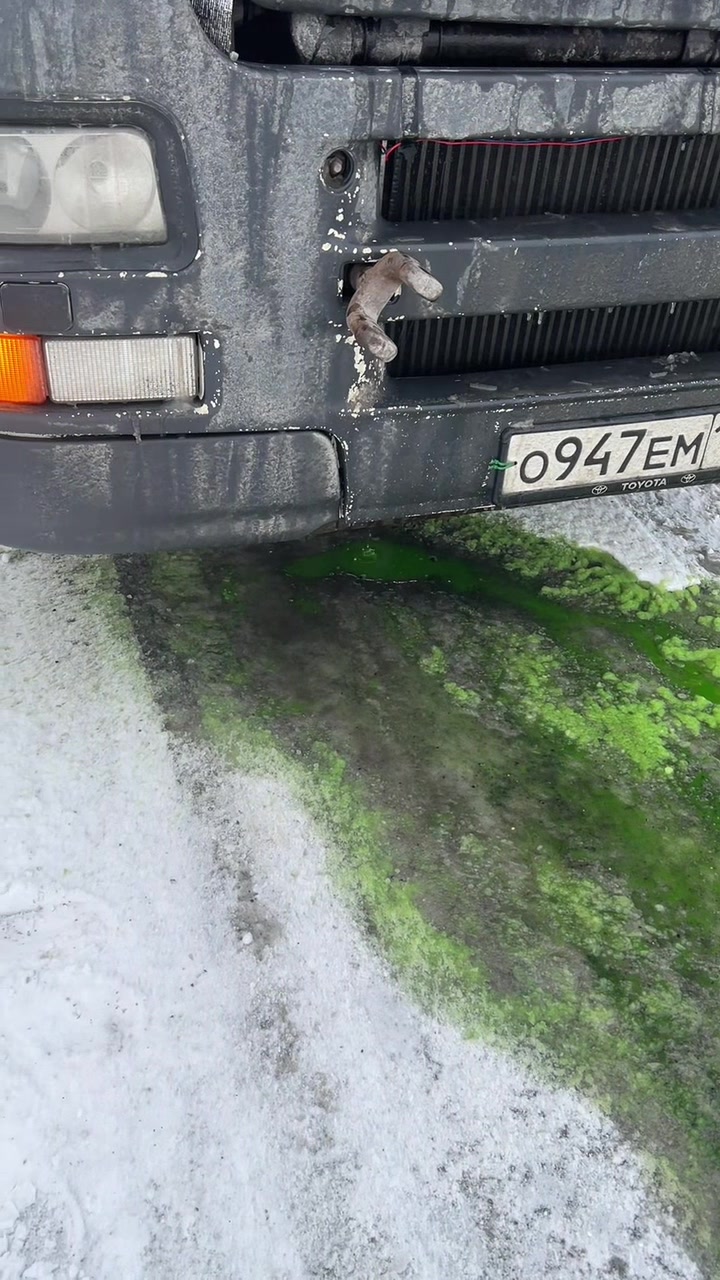 @Саня Холзаков