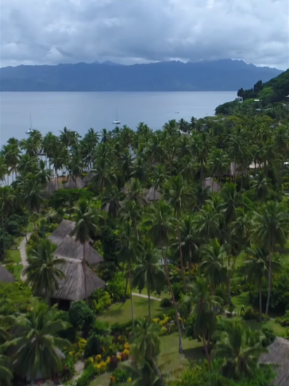 @FijiEco 🇫🇯