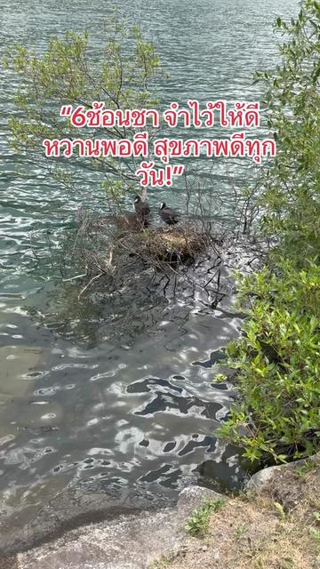 @เด็กลงทุกเช้า