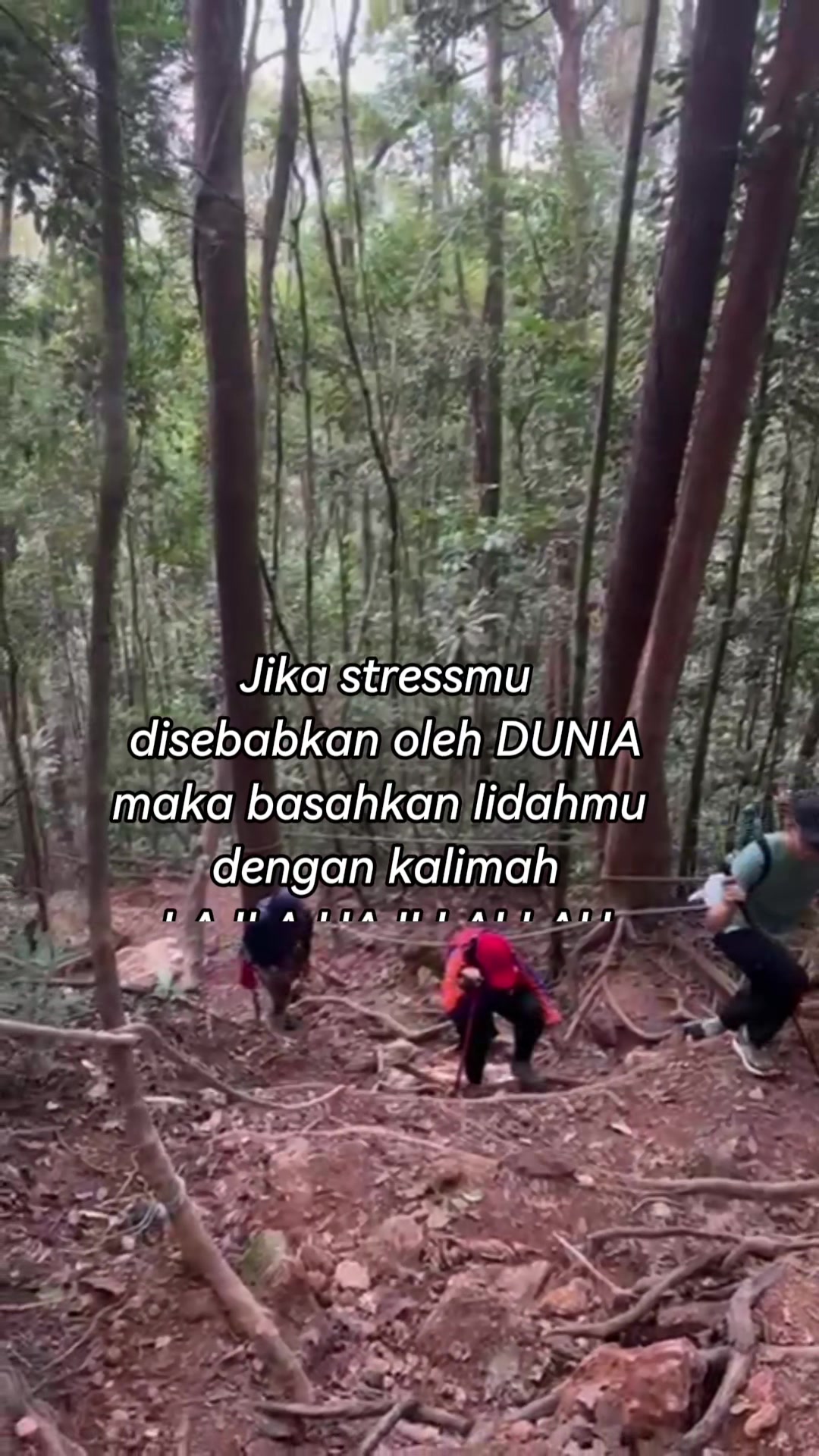 @Nor Lin