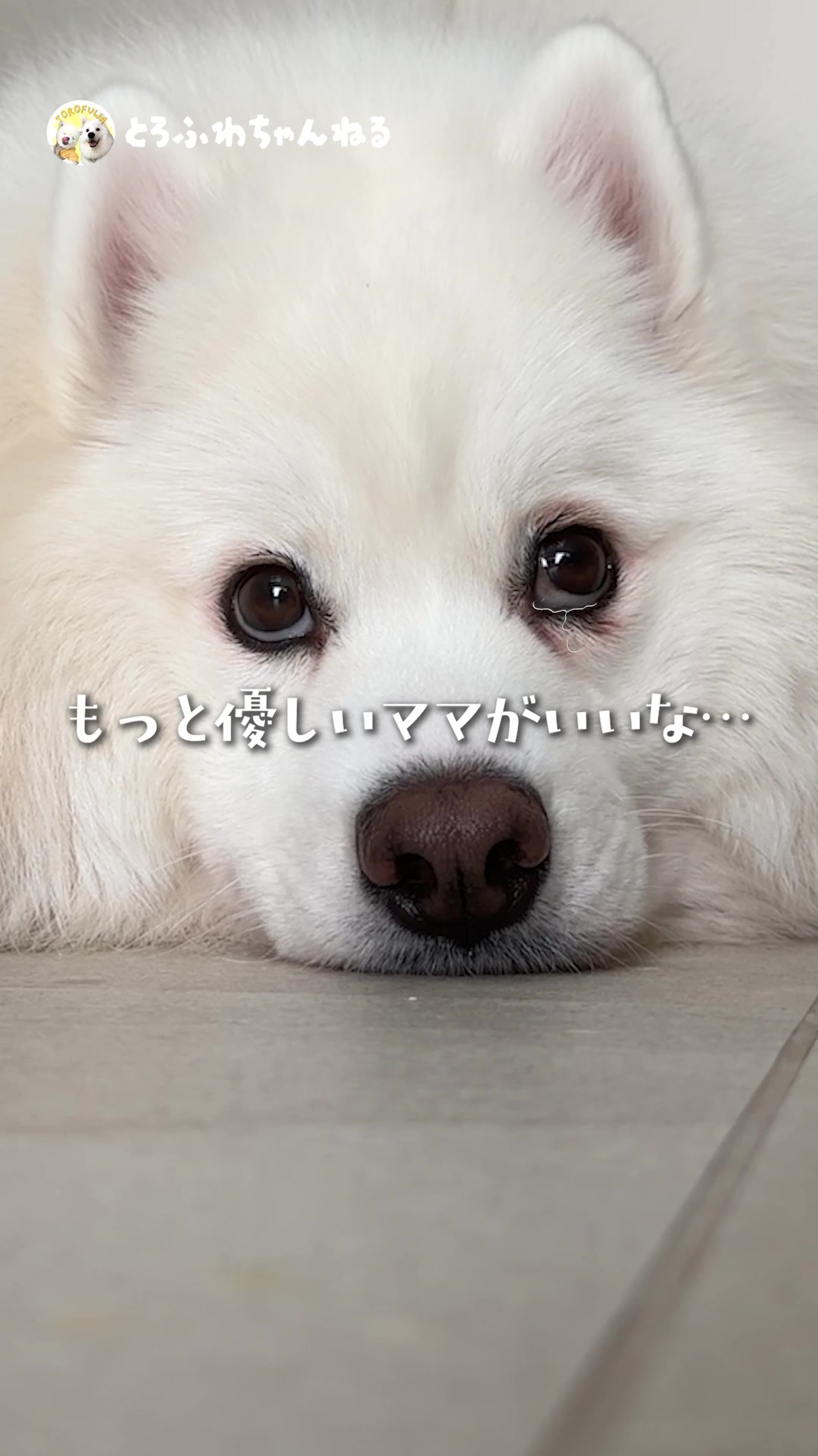 @とろふわ
