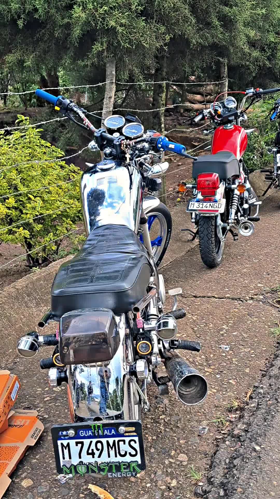 @@TEAMLOSBANDIDOS🤬