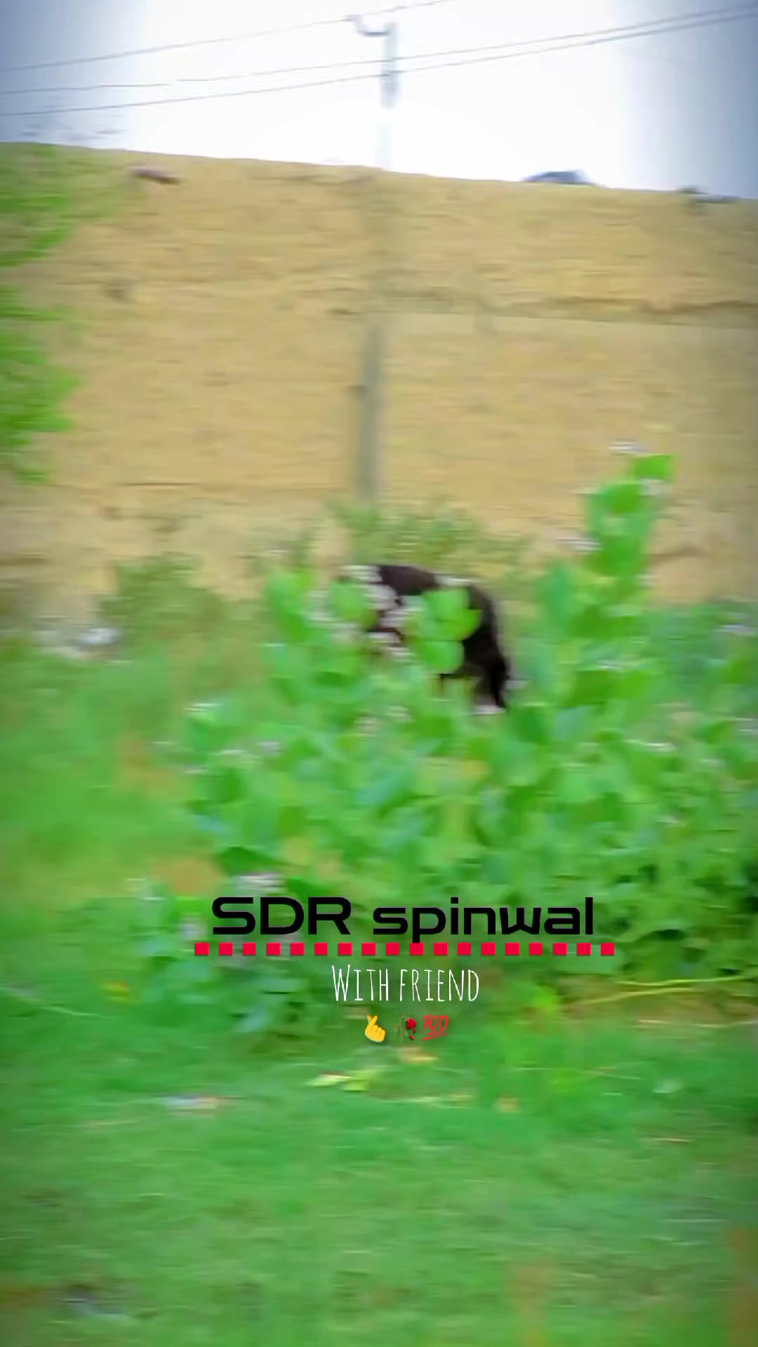@༼ ❌↗ 𝙎𝘿𝙍.spinwal ↖ ༽❌