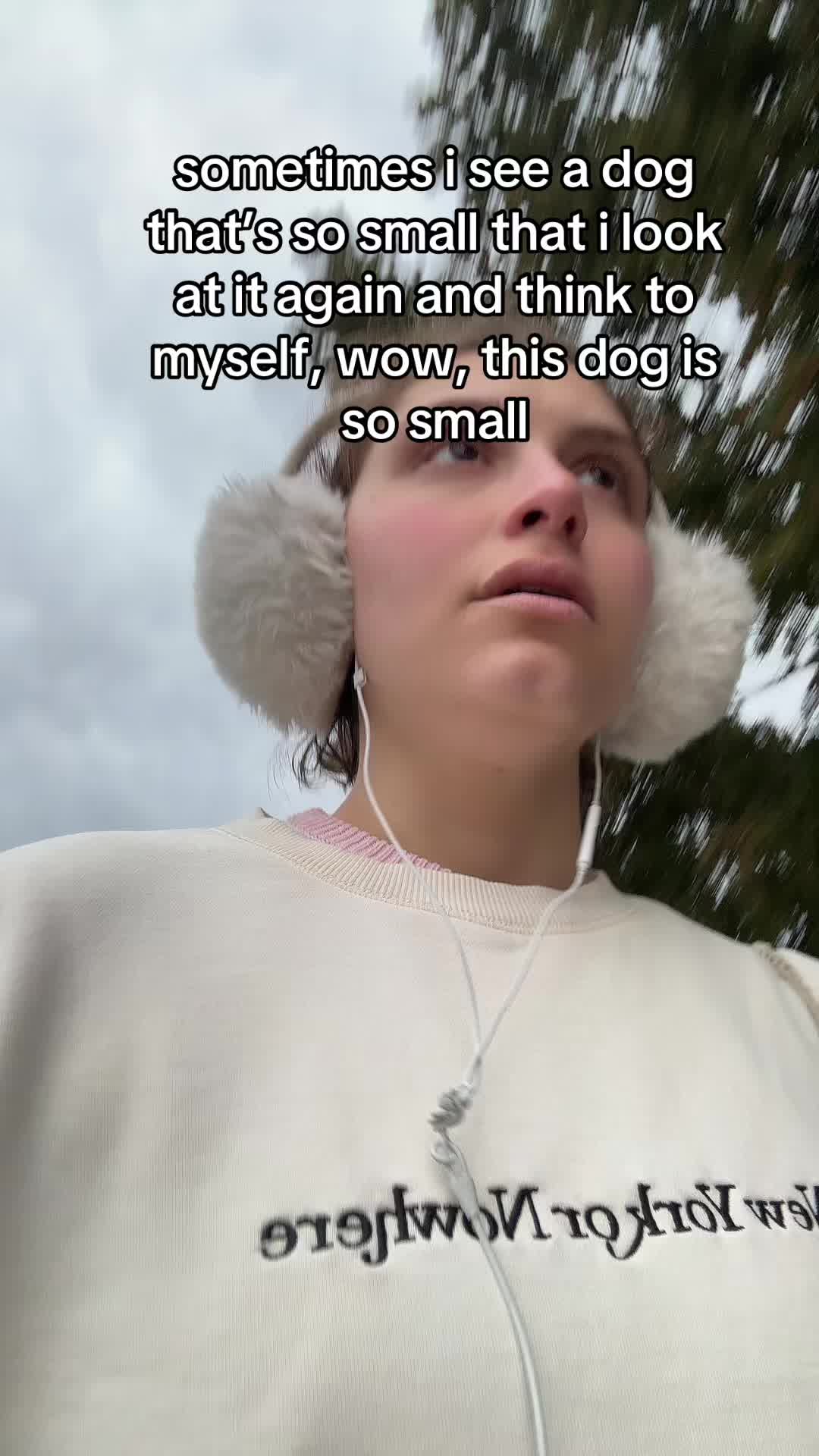 @Dara Weinstein