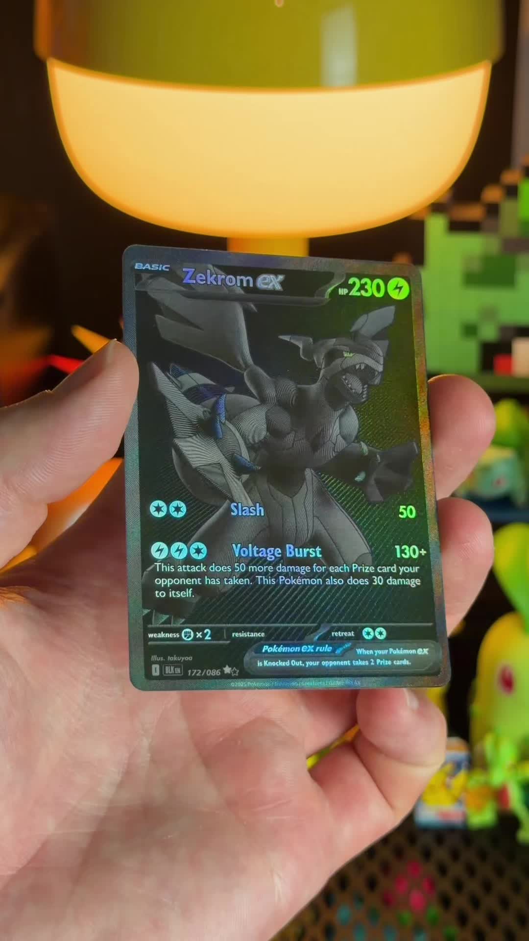 @Trainer Cozy